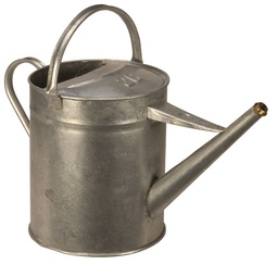 Galvanised Watering Can 10 Litre