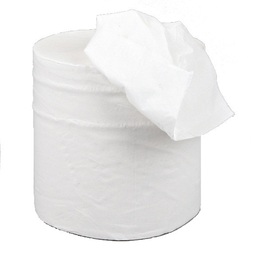 Centrefeed Towel Roll 2Ply White